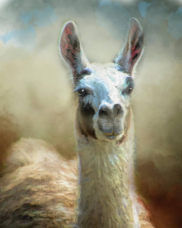 Llama Poster featuring the painting Have any apples? by Jeanette Mahoney