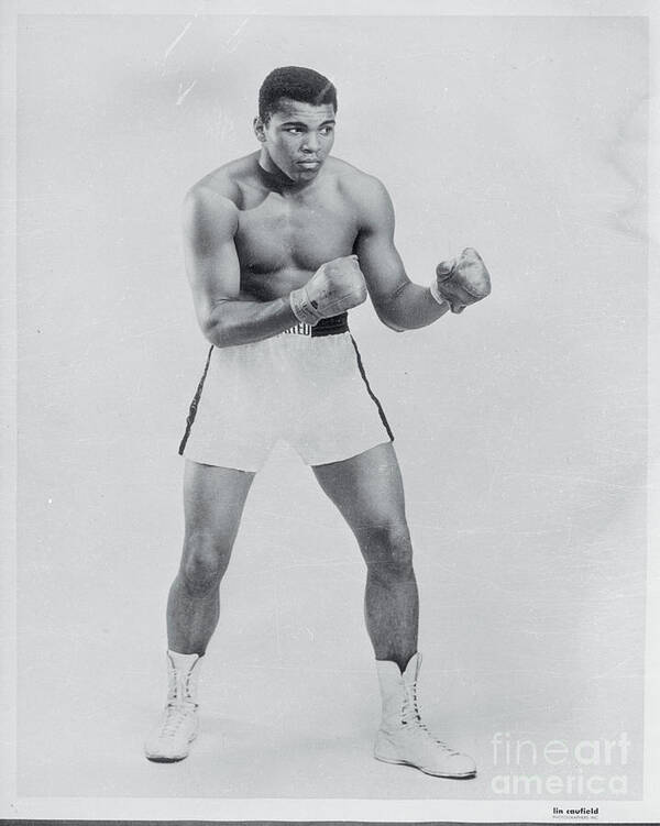 People Poster featuring the photograph Heavyweight Boxer Muhammad Ali by Bettmann