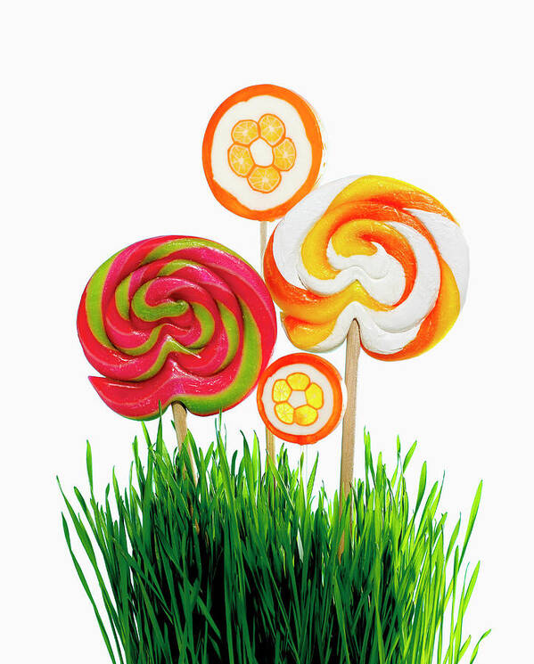 Cut Out Poster featuring the photograph Lollipops And Wheat Grass by Brian Hagiwara