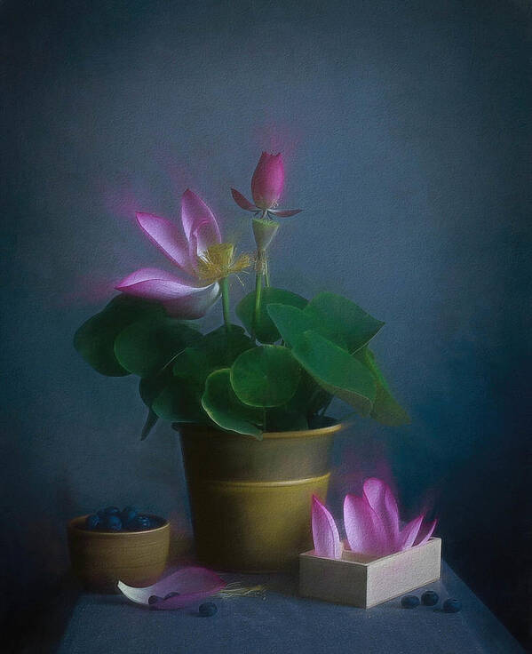 Lotus Poster featuring the photograph Lotus Mood by Fangping Zhou