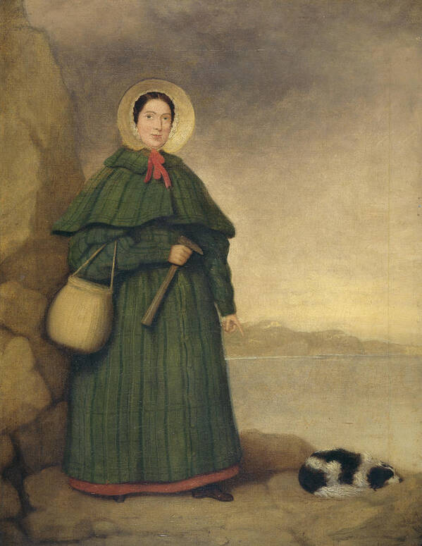 1799-1847 Poster featuring the painting Mary Anning 1799-1847 by The Natural History Museum