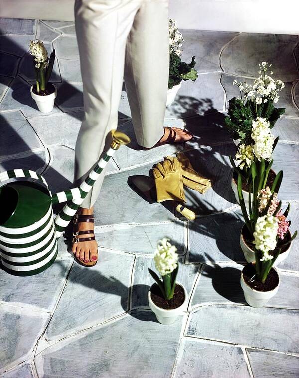 Fashion Poster featuring the photograph Model In Joyce Sandals By Plants by Horst P. Horst