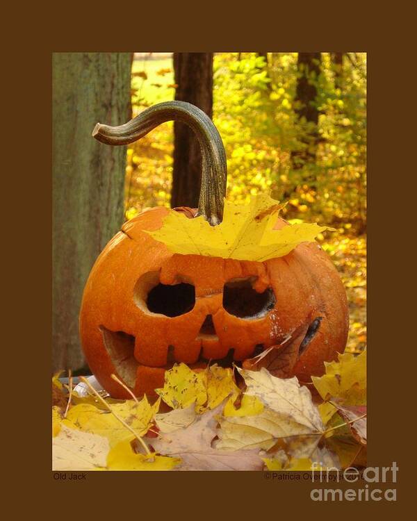 Pumpkin Poster featuring the photograph Old Jack by Patricia Overmoyer