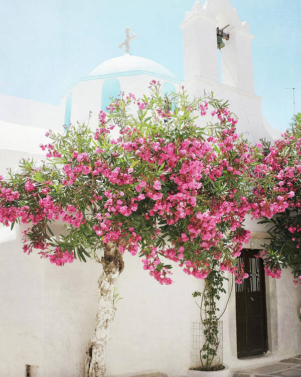 Greece Poster featuring the photograph Oleander and Blue by Lupen Grainne