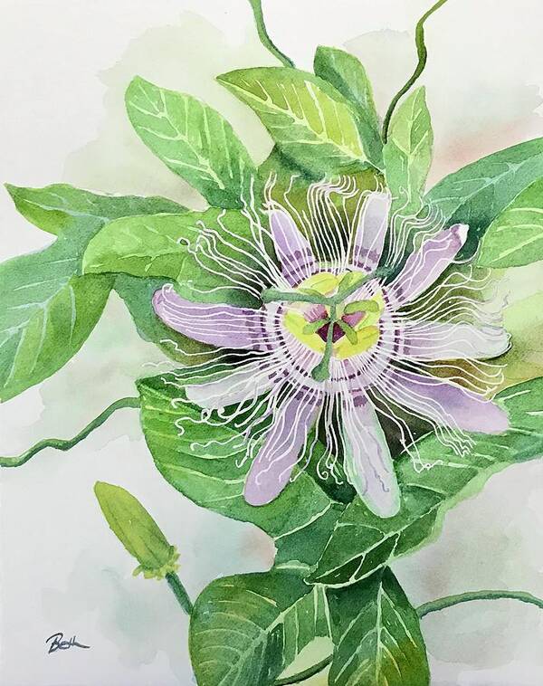 Wildflower Poster featuring the painting Passion Flower by Beth Fontenot