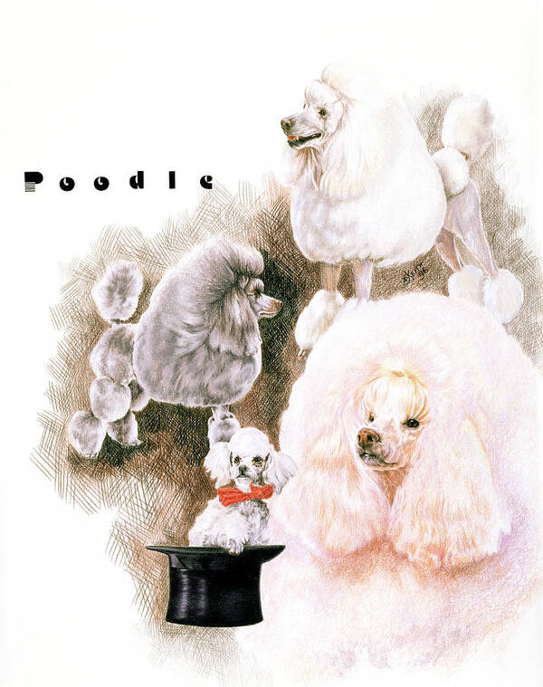 Poodle Dog Poster featuring the painting Poodle 2 by Barbara Keith