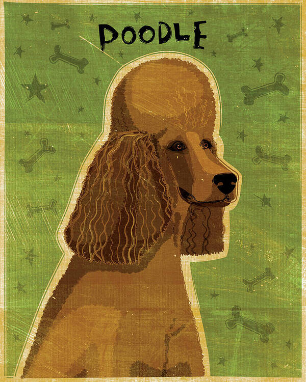 Poodle (brown) Poster featuring the digital art Poodle (brown) by John W. Golden
