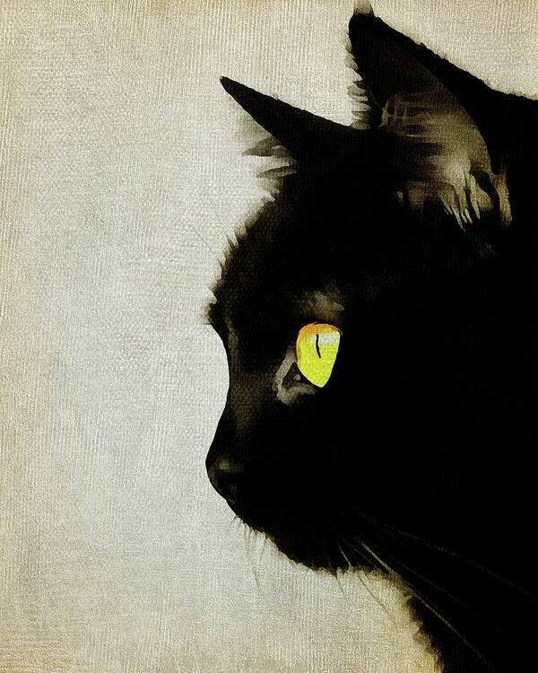 Animal Poster featuring the digital art Portrait of a Cat by Jan Keteleer
