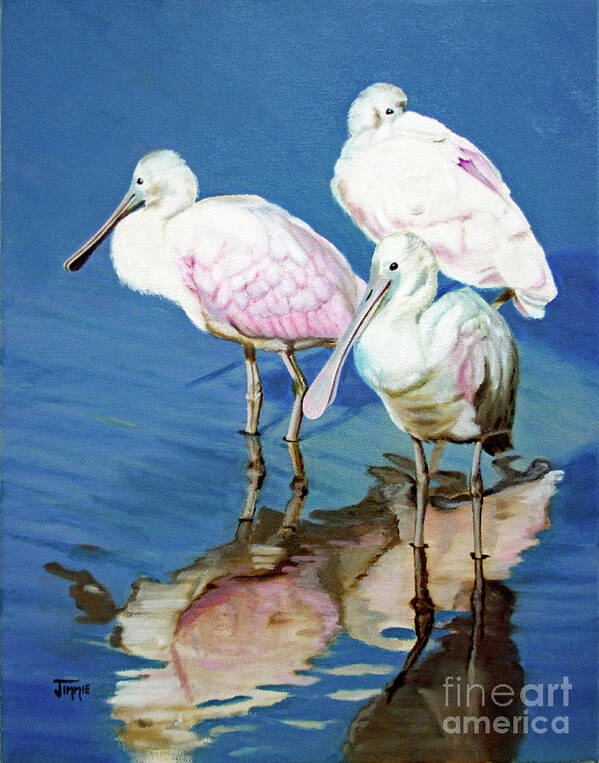 Roseate Spoonbill Poster featuring the painting Roseate Spoonbill Trio by Jimmie Bartlett