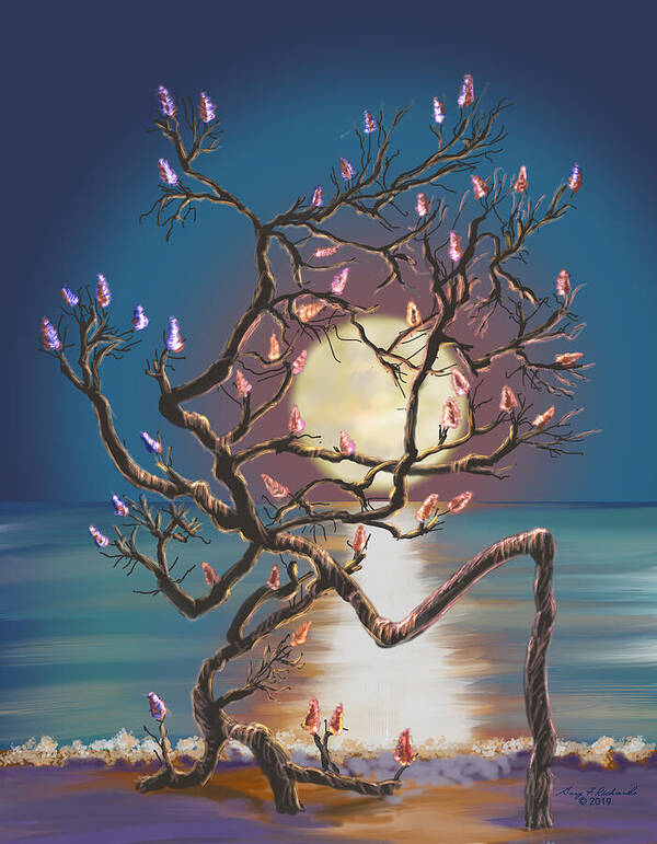 Lido Beach Poster featuring the digital art Shell Tree Glow by Gary F Richards