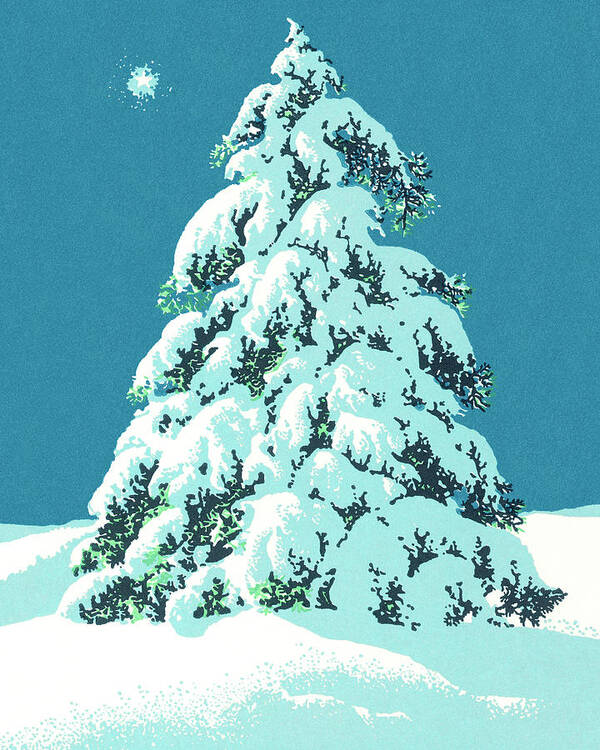 Campy Poster featuring the drawing Snow Covered Evergreen Tree by CSA Images