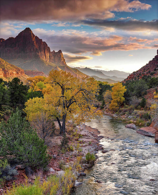 Autumn Poster featuring the photograph Southwest Light along the Virgin River by Leland D Howard