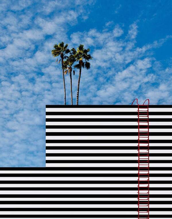 Urban Poster featuring the photograph The Wall - Downtown Los Angeles California by Arnon Orbach