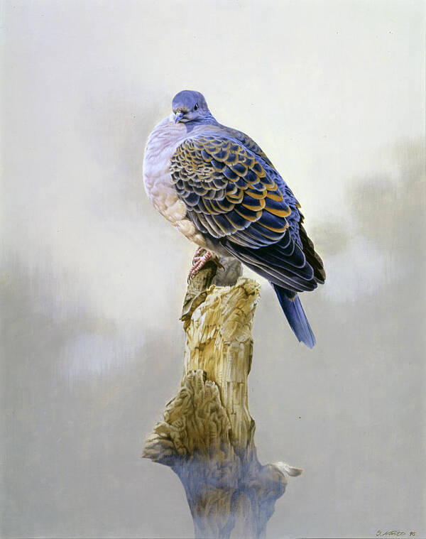 Turtle Dove On A Stump Poster featuring the painting Turtle Dove by Joh Naito