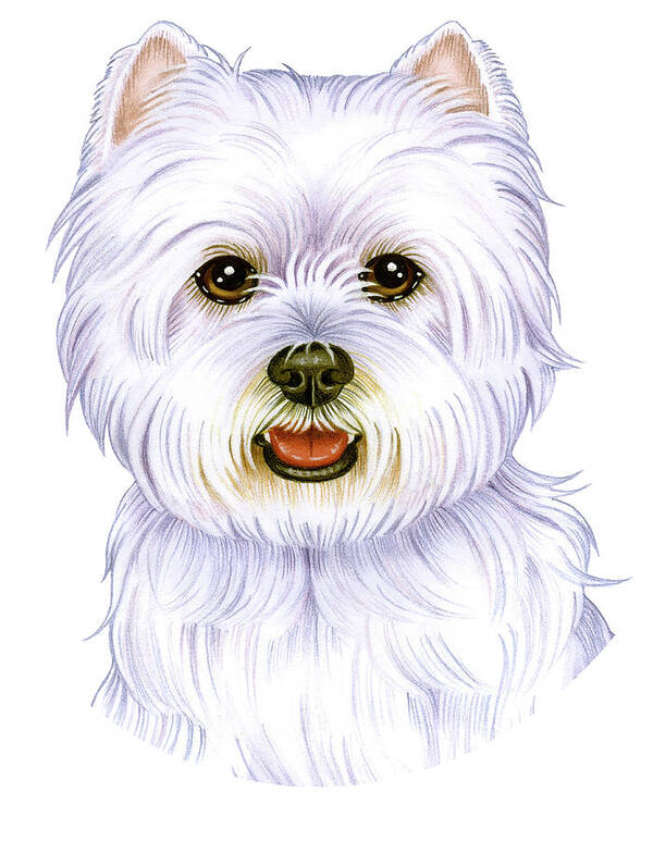 West Highland Terrier Poster featuring the mixed media West Highland Terrier by Tomoyo Pitcher