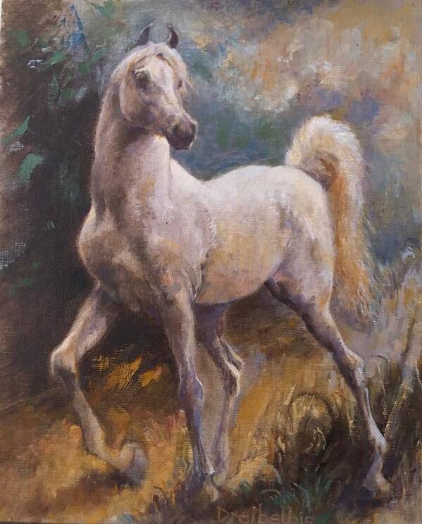 Horse Poster featuring the painting White Arabian by Ellen Dreibelbis