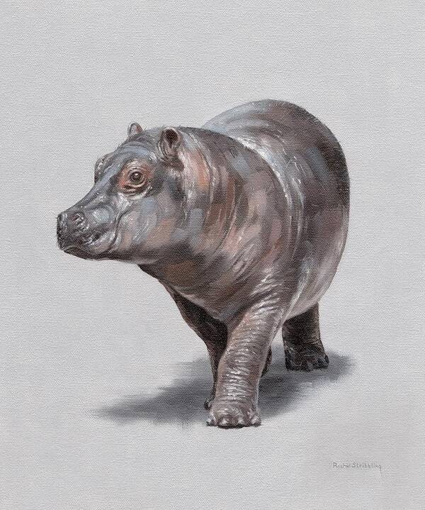 Hippo Poster featuring the painting Wilma by Rachel Stribbling