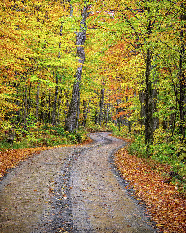 Maine Poster featuring the photograph Winding Road by Colin Chase