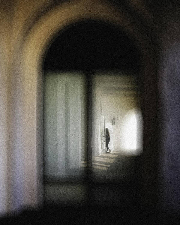 Shadow Poster featuring the photograph Window And Doors by Leah Guo