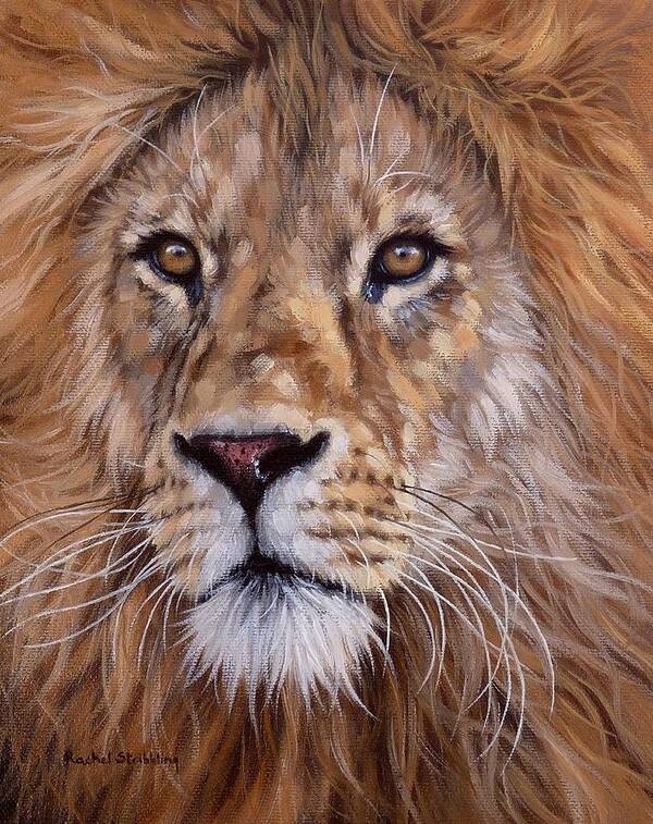 Lion Poster featuring the painting African Lion Painting #1 by Rachel Stribbling
