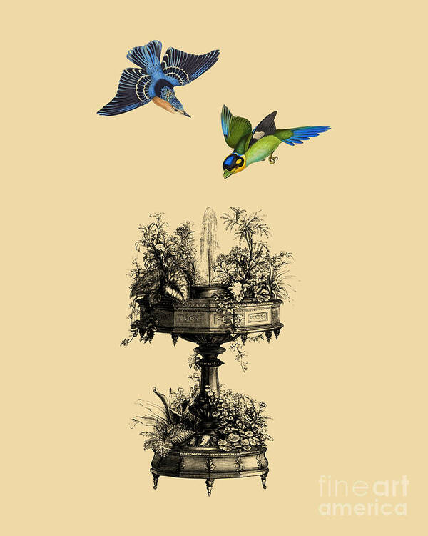 Birds Poster featuring the mixed media Fountain Birds #1 by Madame Memento