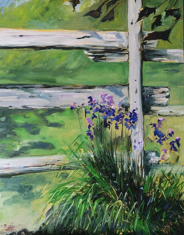 Oil On Canvas Poster featuring the painting Irises #2 by Sheila Romard