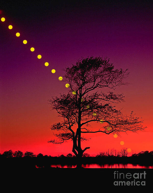 Astronomy Poster featuring the photograph Sunset #1 by Larry Landolfi