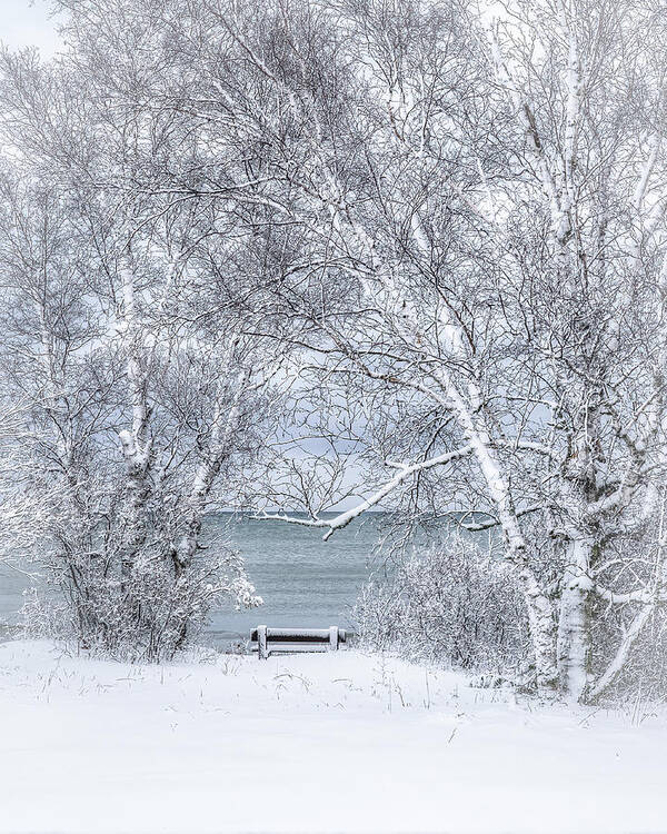  Winter Wonderland Poster featuring the photograph Winter Wonderland #1 by Brad Bellisle