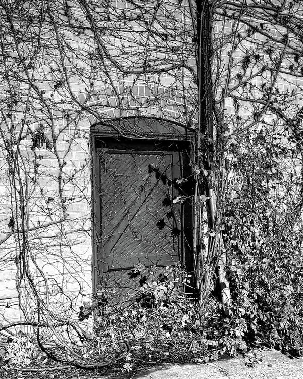 Abandoned Poster featuring the photograph Abandoned Door by Scott Olsen