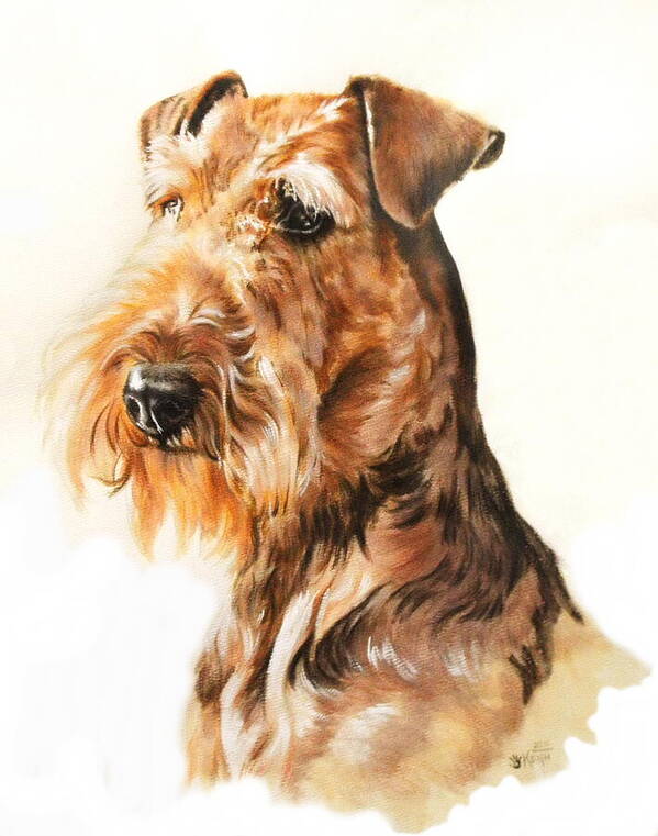 Terrier Poster featuring the painting Airedale Portrait in Watercolor by Barbara Keith