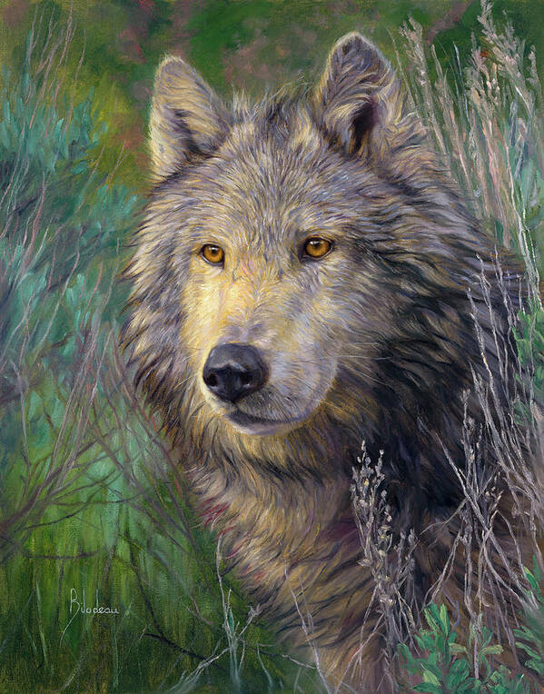 Wolf Poster featuring the painting Among the Sage by Lucie Bilodeau