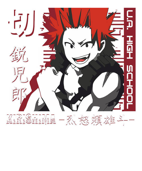 My Hero Academia - Heroes - Anime Poster (24 x 36 inches