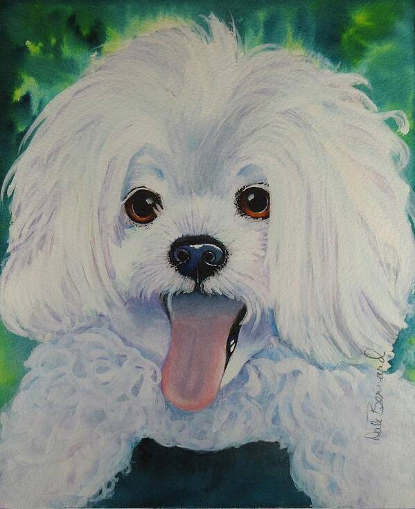 Little White Dog Peekapoo Toy Dog Bichon Frise Poodle Small Dog Corkscrew Curls Canine Lap Dog Little Dog Puppy Watercolor Pet Animal White Dog Toy Poodle Purebred Purebred Dog Poster featuring the painting Baxter by Dale Bernard