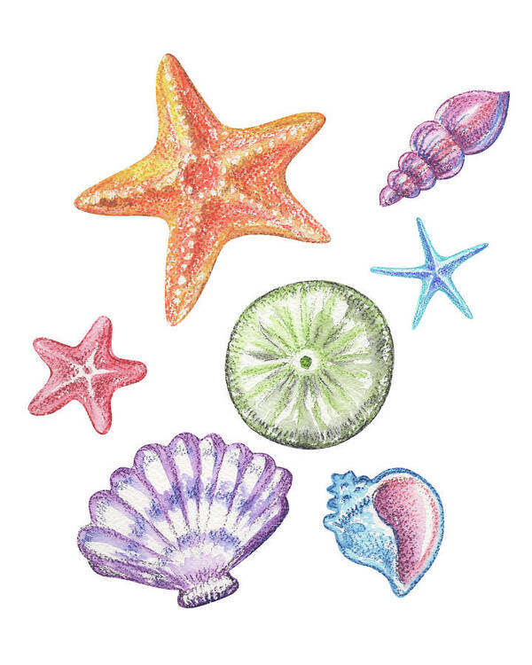 Beach Art Poster featuring the painting Beach Art Watercolor Sea Shells And Stars Art I by Irina Sztukowski