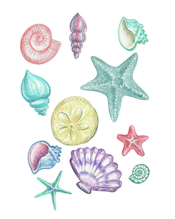 Beach Art Poster featuring the painting Beach Art Watercolor Sea Shells And Stars Art III by Irina Sztukowski