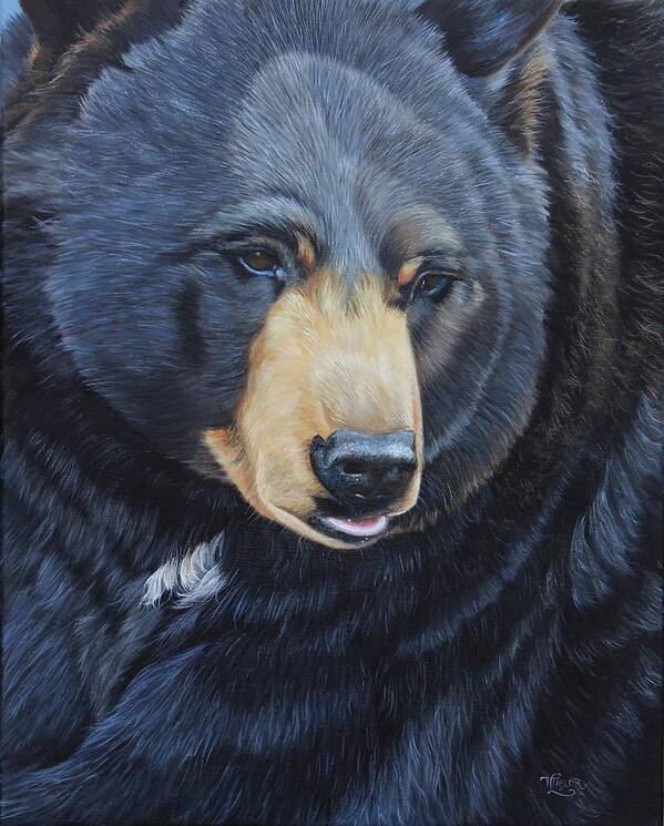Bear Poster featuring the painting Bear Gaze by Tammy Taylor