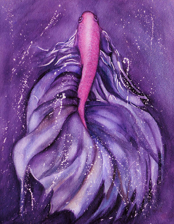 Fighting Fish Poster featuring the mixed media Betta Fish Purple Swirl by Kelly Mills