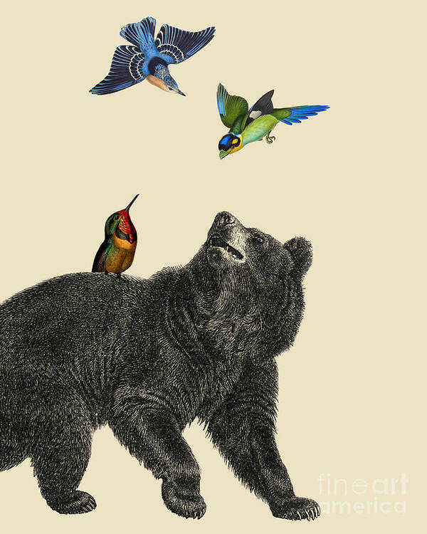 Bear Poster featuring the digital art Black bear and birds by Madame Memento