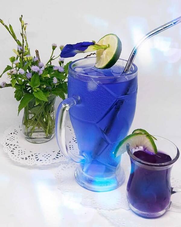 Blue Poster featuring the photograph Blue Flower Drink by Ma Udaysree