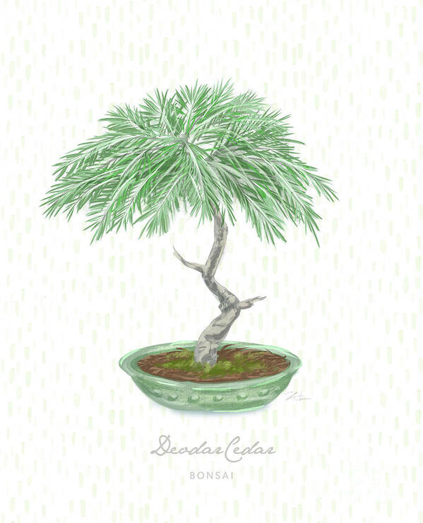 Bonsai Poster featuring the mixed media Bonsai Trees - Deodar Cedar by Shari Warren