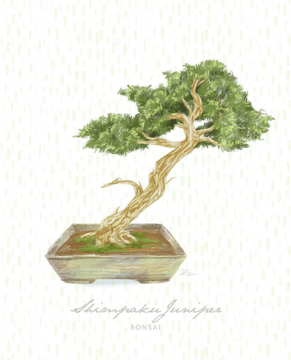 Bonsai Poster featuring the mixed media Bonsai Trees - Shimpaku Juniper by Shari Warren