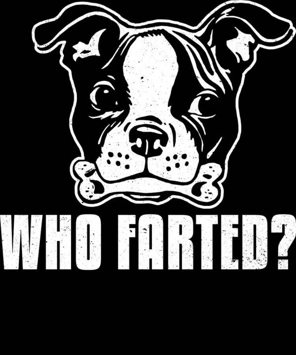 Boston Terrier Gifts Poster featuring the digital art Boston Terrier Funny Who Farted by Jacob Zelazny