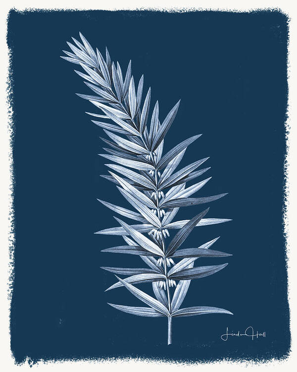 Digital Poster featuring the digital art Botanical Cyanotype Series No.Eight by Linda Lee Hall