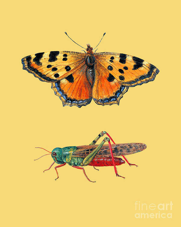 Yellow Poster featuring the digital art Butterfly with grasshopper by Madame Memento