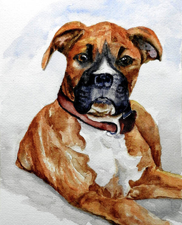 Boxer Poster featuring the painting Callie by Barbara F Johnson