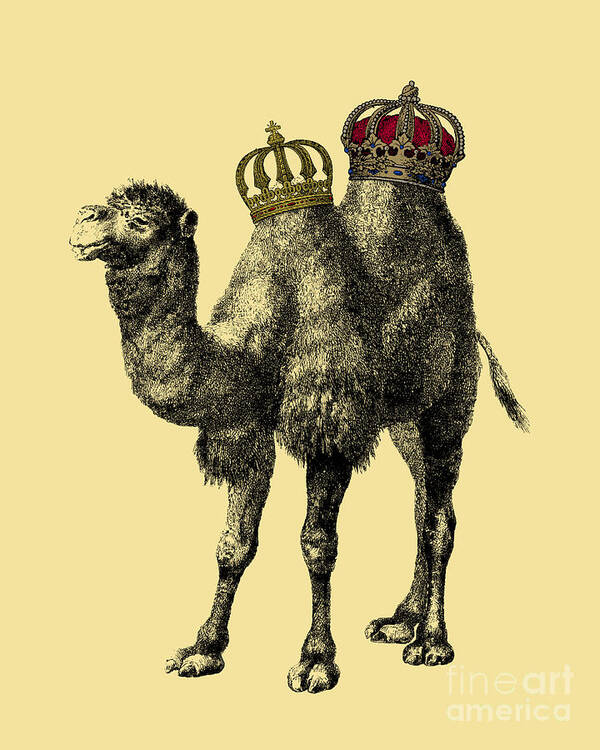 Camel Poster featuring the mixed media Camel with crowns by Madame Memento