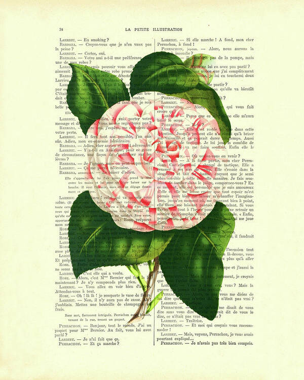 Camellia Japonica Poster featuring the digital art Camellia japonica flower art by Madame Memento