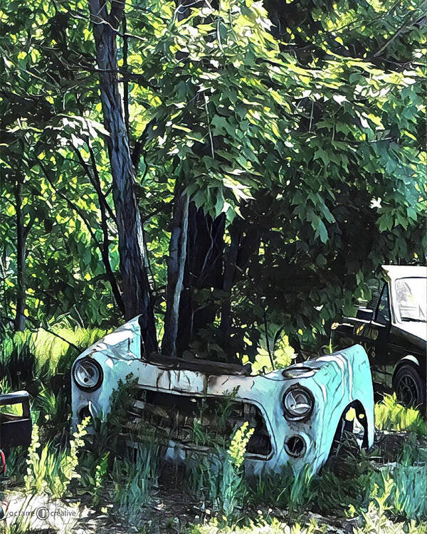 Car Poster featuring the photograph Car and Tree by Tim Nyberg