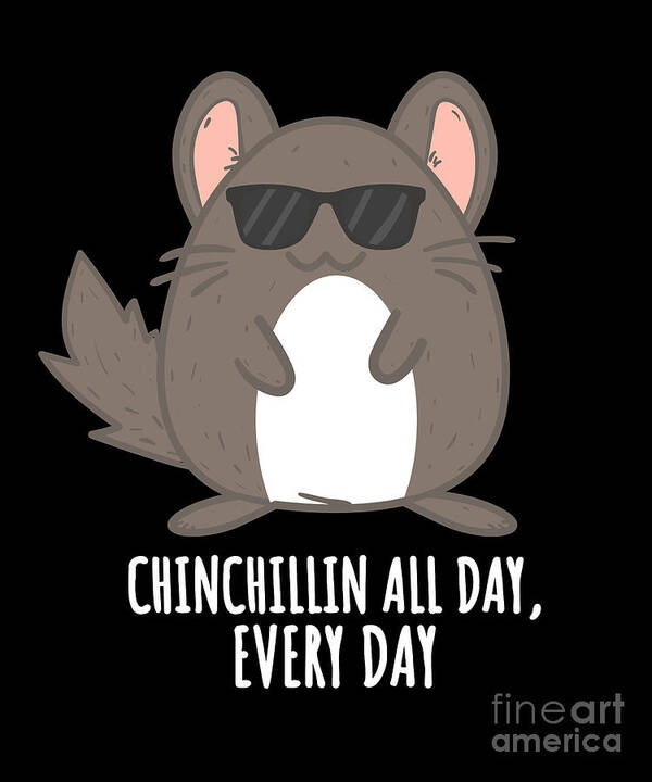 Chinchillin Chinchilla All Day Every Day Poster by Noirty Designs - Pixels