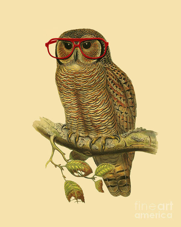 Owl Poster featuring the digital art College Student Owl by Madame Memento